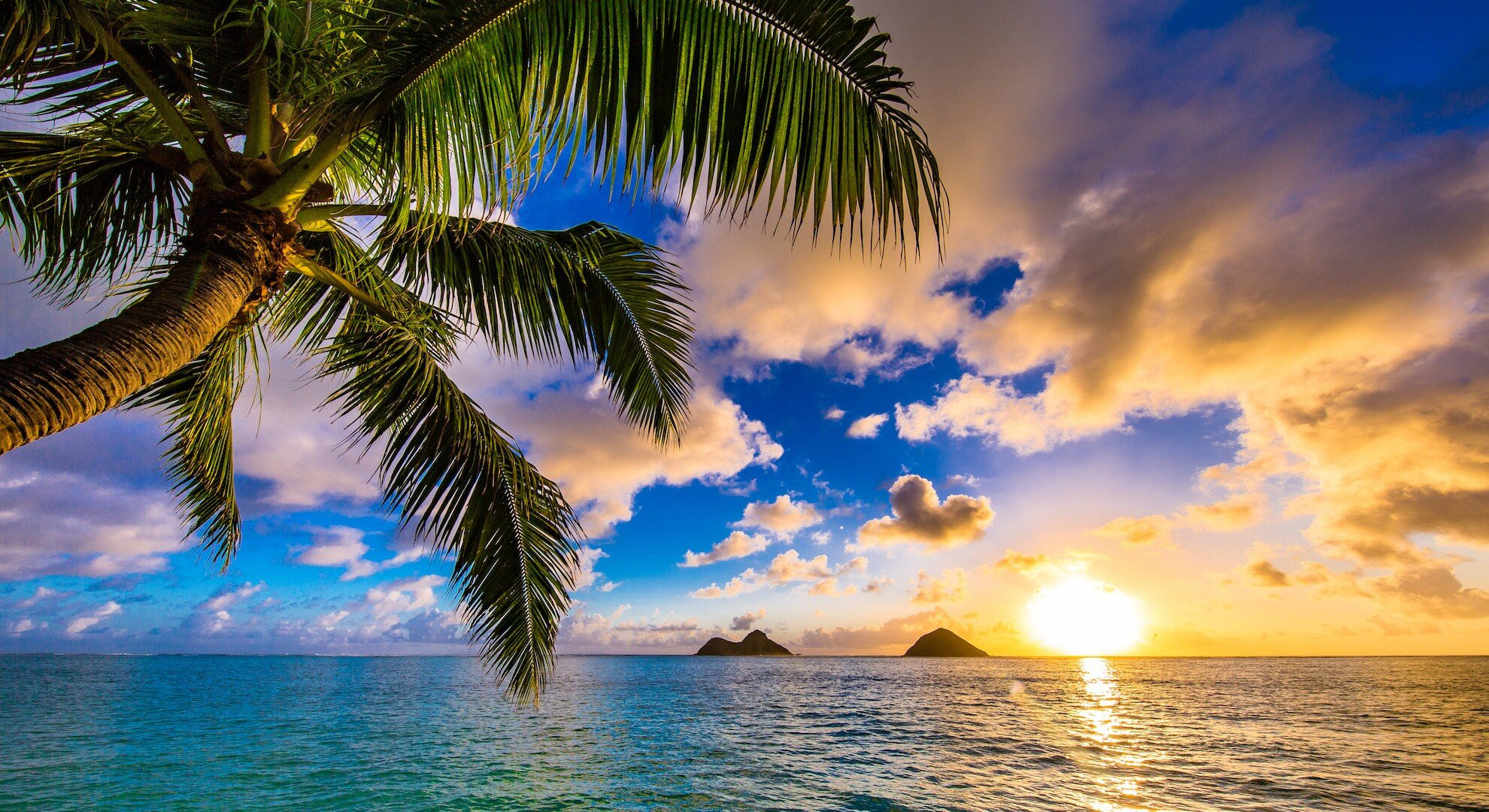 Hawaii Holidays 2021/2022